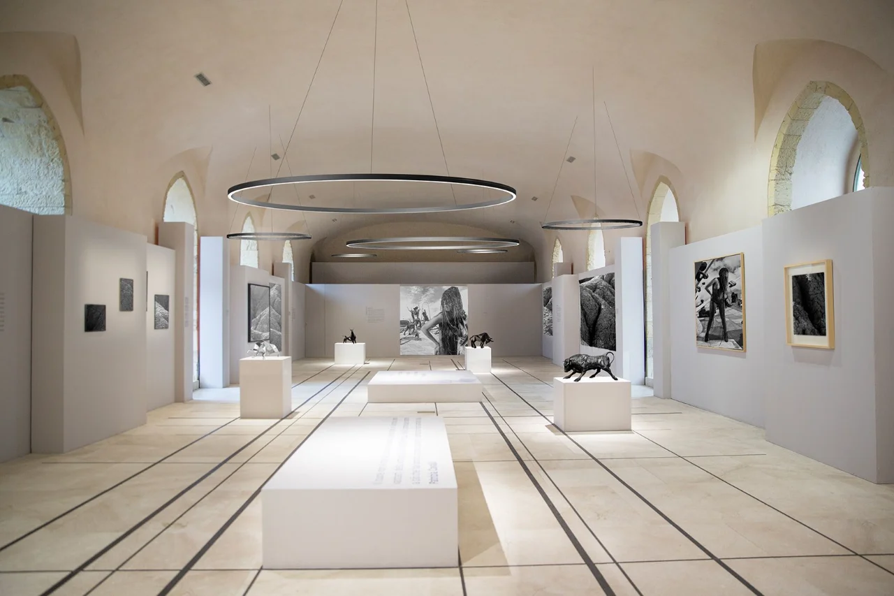 TheO Ringleuchte in einer Ausstellung mit akzentuierter Raumwirkung