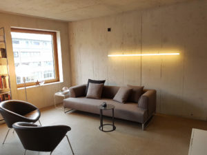 The Line LED-Designer-Lampe von Leuchtstoff in einem Wohnzimmer über dem Sofa im Kanton Solothurn/Schweiz