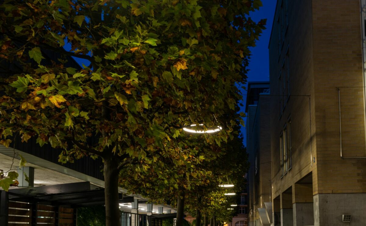 TheO-LED-Aussenbeleuchtung-Zürich-2 (1)