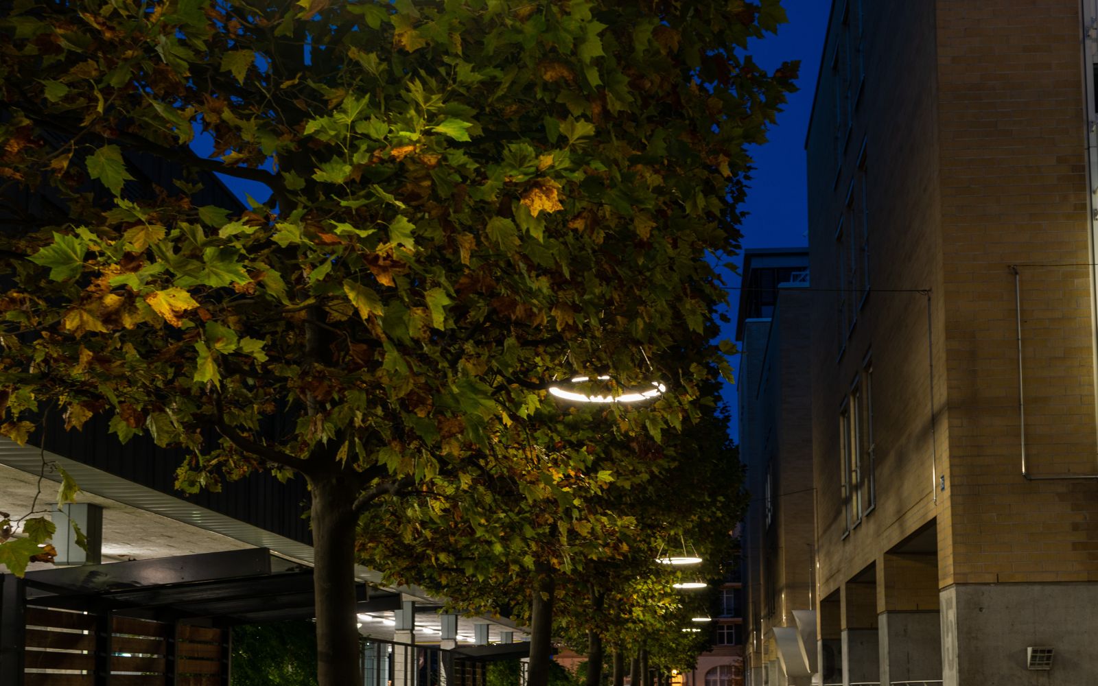 TheO-LED-Aussenbeleuchtung-Zürich-2 (1)